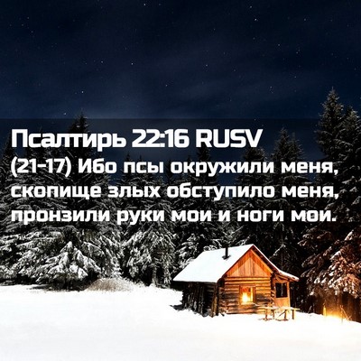 Picture 02 - Псалтирь 22:16 RUSV - (21-17) Ибо псы окружили меня, - Bible Verse Picture