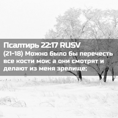 Picture 02 - Псалтирь 22:17 RUSV - (21-18) Можно было бы - Bible Verse Picture