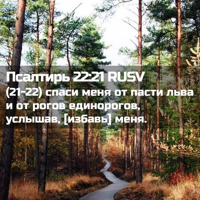 Picture 02 - Псалтирь 22:21 RUSV - (21-22) спаси меня от пасти - Bible Verse Picture