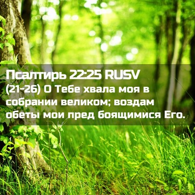Picture 02 - Псалтирь 22:25 RUSV - (21-26) О Тебе хвала моя в - Bible Verse Picture