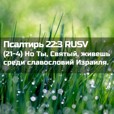 Picture 02 - Псалтирь 22:3 RUSV - (21-4) Но Ты, Святый, живешь - Bible Verse Picture