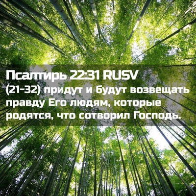Picture 02 - Псалтирь 22:31 RUSV - (21-32) придут и будут - Bible Verse Picture
