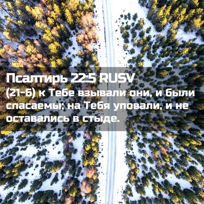 Picture 02 - Псалтирь 22:5 RUSV - (21-6) к Тебе взывали они, и - Bible Verse Picture
