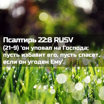 Picture 02 - Псалтирь 22:8 RUSV - (21-9) 'он уповал на Господа; - Bible Verse Picture