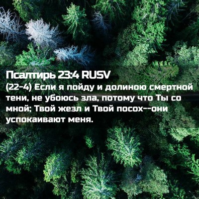 Picture 02 - Псалтирь 23:4 RUSV - (22-4) Если я пойду и долиною - Bible Verse Picture