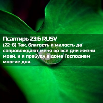 Picture 02 - Псалтирь 23:6 RUSV - (22-6) Так, благость и милость - Bible Verse Picture