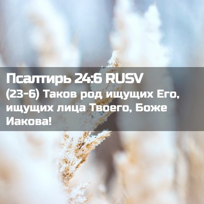 Picture 02 - Псалтирь 24:6 RUSV - (23-6) Таков род ищущих Его, - Bible Verse Picture