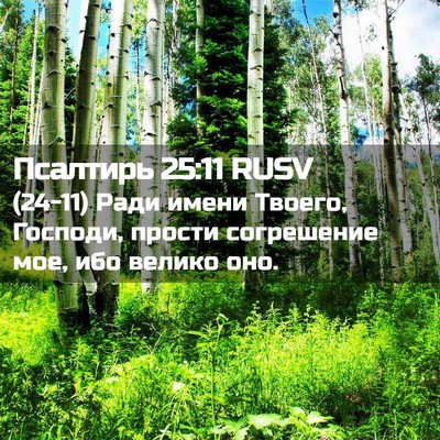 Picture 02 - Псалтирь 25:11 RUSV - (24-11) Ради имени Твоего, - Bible Verse Picture