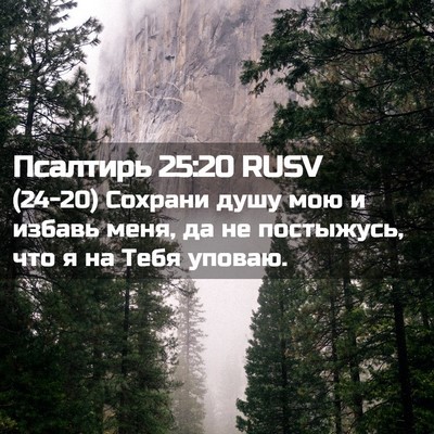 Picture 02 - Псалтирь 25:20 RUSV - (24-20) Сохрани душу мою и - Bible Verse Picture