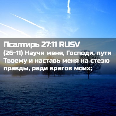 Picture 02 - Псалтирь 27:11 RUSV - (26-11) Научи меня, Господи, - Bible Verse Picture
