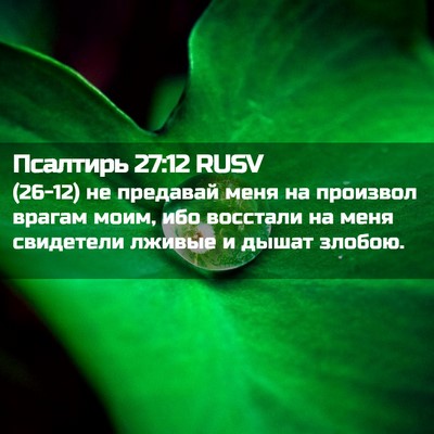 Picture 02 - Псалтирь 27:12 RUSV - (26-12) не предавай меня на - Bible Verse Picture