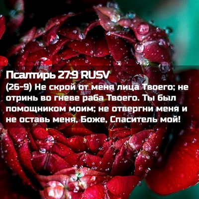 Picture 02 - Псалтирь 27:9 RUSV - (26-9) Не скрой от меня лица - Bible Verse Picture