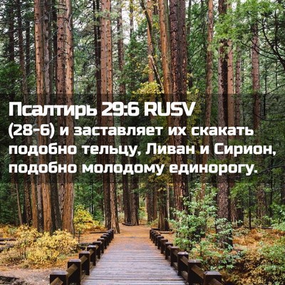 Picture 02 - Псалтирь 29:6 RUSV - (28-6) и заставляет их - Bible Verse Picture