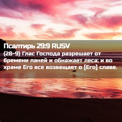 Picture 02 - Псалтирь 29:9 RUSV - (28-9) Глас Господа разрешает - Bible Verse Picture