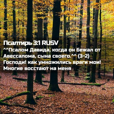 Picture 02 - Псалтирь 3:1 RUSV - ^^Псалом Давида, когда он - Bible Verse Picture