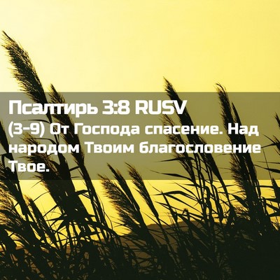 Picture 02 - Псалтирь 3:8 RUSV - (3-9) От Господа спасение. - Bible Verse Picture