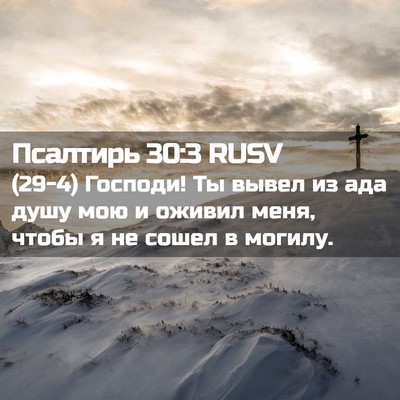 Picture 02 - Псалтирь 30:3 RUSV - (29-4) Господи! Ты вывел из - Bible Verse Picture