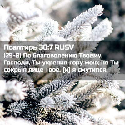 Picture 02 - Псалтирь 30:7 RUSV - (29-8) По благоволению - Bible Verse Picture