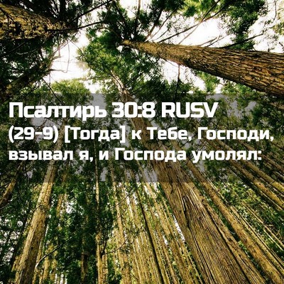 Picture 02 - Псалтирь 30:8 RUSV - (29-9) [Тогда] к Тебе, Господи, - Bible Verse Picture
