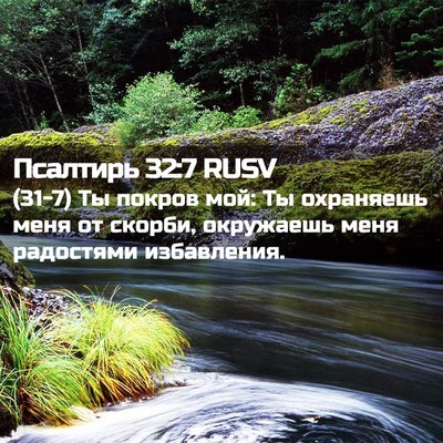 Picture 02 - Псалтирь 32:7 RUSV - (31-7) Ты покров мой: Ты - Bible Verse Picture