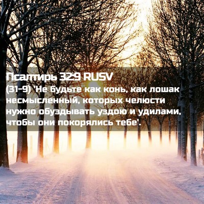 Picture 02 - Псалтирь 32:9 RUSV - (31-9) 'Не будьте как конь, как - Bible Verse Picture