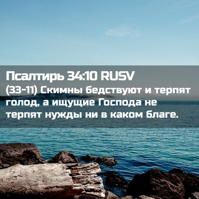 Picture 02 - Псалтирь 34:10 RUSV - (33-11) Скимны бедствуют и - Bible Verse Picture