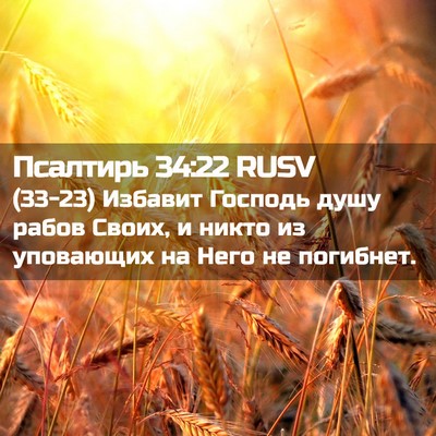 Picture 02 - Псалтирь 34:22 RUSV - (33-23) Избавит Господь душу - Bible Verse Picture
