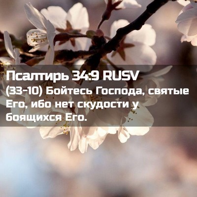 Picture 02 - Псалтирь 34:9 RUSV - (33-10) Бойтесь Господа, - Bible Verse Picture