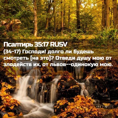 Picture 02 - Псалтирь 35:17 RUSV - (34-17) Господи! долго ли - Bible Verse Picture
