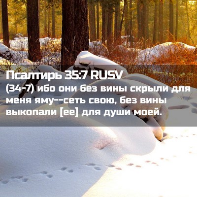 Picture 02 - Псалтирь 35:7 RUSV - (34-7) ибо они без вины скрыли - Bible Verse Picture