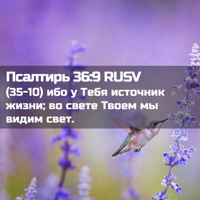 Picture 02 - Псалтирь 36:9 RUSV - (35-10) ибо у Тебя источник - Bible Verse Picture