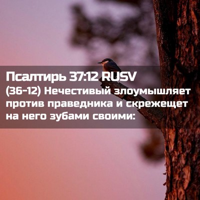 Picture 02 - Псалтирь 37:12 RUSV - (36-12) Нечестивый - Bible Verse Picture