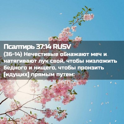 Picture 02 - Псалтирь 37:14 RUSV - (36-14) Нечестивые обнажают - Bible Verse Picture