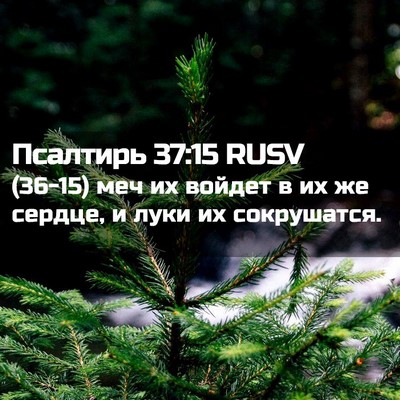 Picture 02 - Псалтирь 37:15 RUSV - (36-15) меч их войдет в их же - Bible Verse Picture