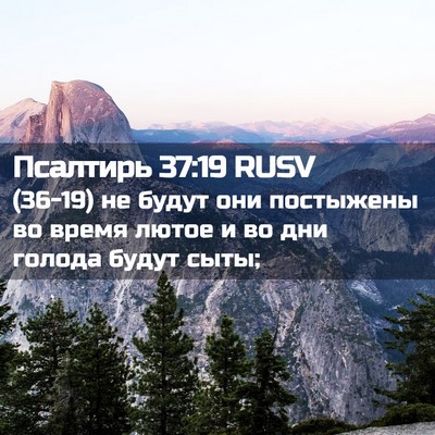 Picture 02 - Псалтирь 37:19 RUSV - (36-19) не будут они постыжены - Bible Verse Picture