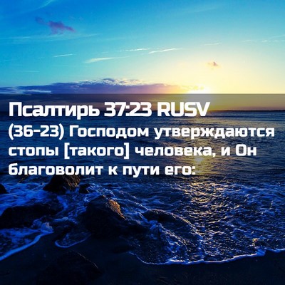 Picture 02 - Псалтирь 37:23 RUSV - (36-23) Господом утверждаются - Bible Verse Picture