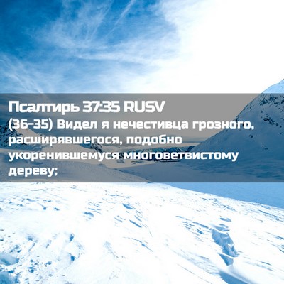 Picture 02 - Псалтирь 37:35 RUSV - (36-35) Видел я нечестивца - Bible Verse Picture