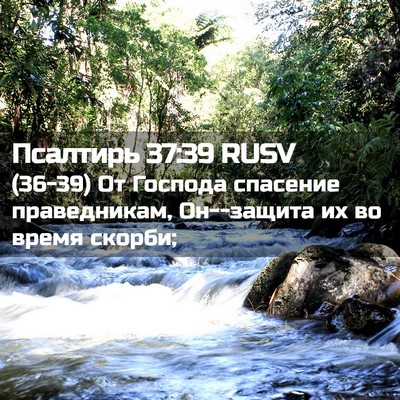 Picture 02 - Псалтирь 37:39 RUSV - (36-39) От Господа спасение - Bible Verse Picture