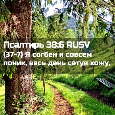 Picture 02 - Псалтирь 38:6 RUSV - (37-7) Я согбен и совсем - Bible Verse Picture