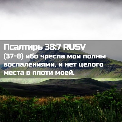 Picture 02 - Псалтирь 38:7 RUSV - (37-8) ибо чресла мои полны - Bible Verse Picture
