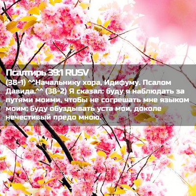 Picture 02 - Псалтирь 39:1 RUSV - (38-1) ^^Начальнику хора, - Bible Verse Picture