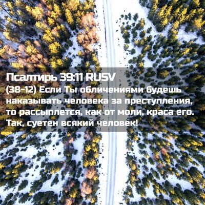 Picture 02 - Псалтирь 39:11 RUSV - (38-12) Если Ты обличениями - Bible Verse Picture