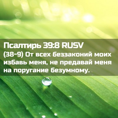 Picture 02 - Псалтирь 39:8 RUSV - (38-9) От всех беззаконий - Bible Verse Picture