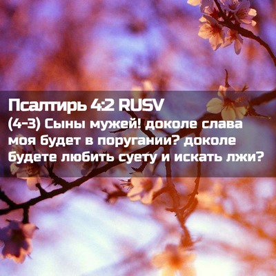 Picture 02 - Псалтирь 4:2 RUSV - (4-3) Сыны мужей! доколе - Bible Verse Picture