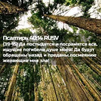 Picture 02 - Псалтирь 40:14 RUSV - (39-15) Да постыдятся и - Bible Verse Picture