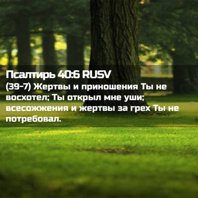 Picture 02 - Псалтирь 40:6 RUSV - (39-7) Жертвы и приношения Ты - Bible Verse Picture