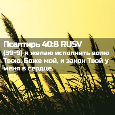 Picture 02 - Псалтирь 40:8 RUSV - (39-9) я желаю исполнить волю - Bible Verse Picture