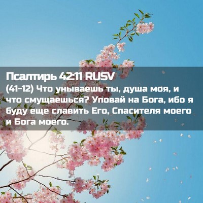 Picture 02 - Псалтирь 42:11 RUSV - (41-12) Что унываешь ты, душа - Bible Verse Picture