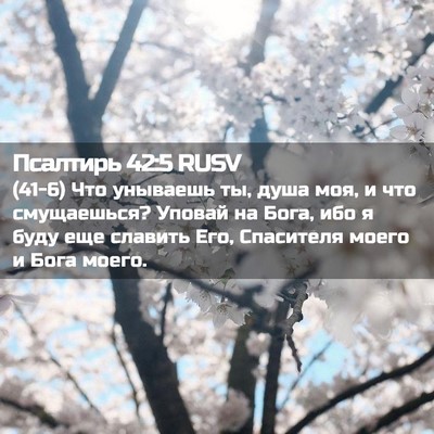 Picture 02 - Псалтирь 42:5 RUSV - (41-6) Что унываешь ты, душа - Bible Verse Picture