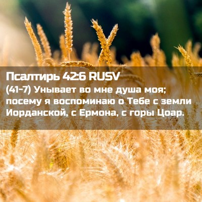 Picture 02 - Псалтирь 42:6 RUSV - (41-7) Унывает во мне душа - Bible Verse Picture
